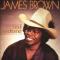 Brown James : Soul syndrome