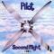 Pilot : second flight