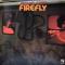Steig Jeremy : Firefly