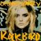 Harry Debbie : rockbird