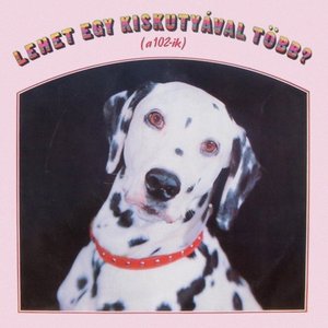 LP Cover