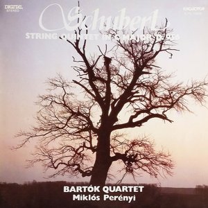 LP Cover