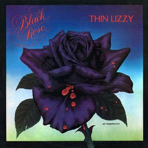 LP Cover
