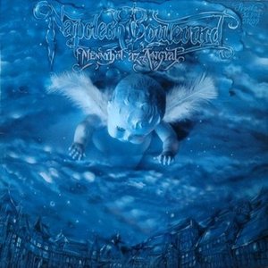 LP Cover