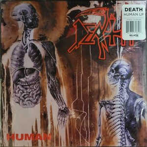 LP Cover