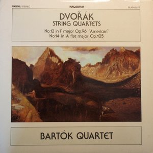LP Cover