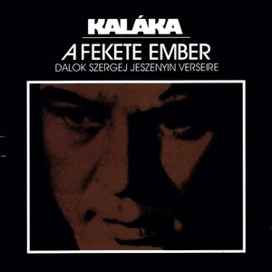 LP Cover