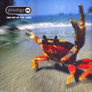 LP Cover