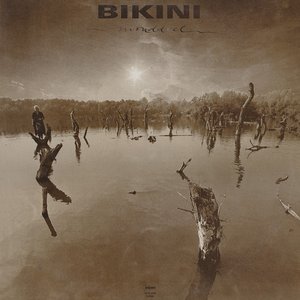 LP Cover