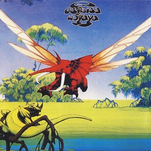 LP Cover