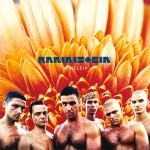 LP Cover