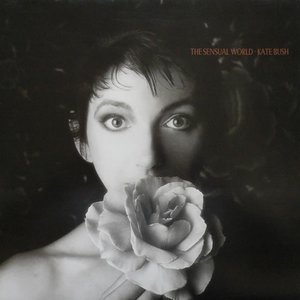 LP Cover