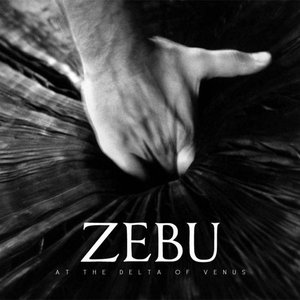 LP Cover