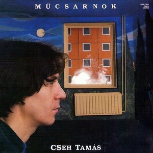 LP Cover