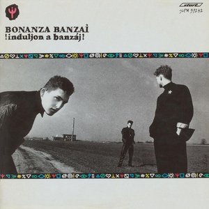 LP Cover