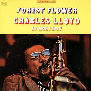 LP Cover
