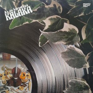 LP Cover