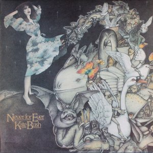 LP Cover