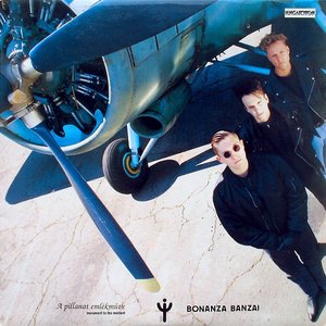 LP Cover